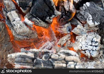 Stock photo: an image of fire on half-burnt logs