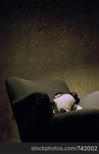 Stoffed penguin on a sofa