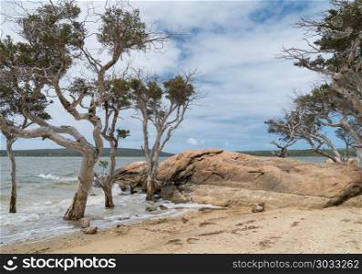 Stokes National Park, Western Australia. Lakeside landscape within the Stokes National Park, Western Australia