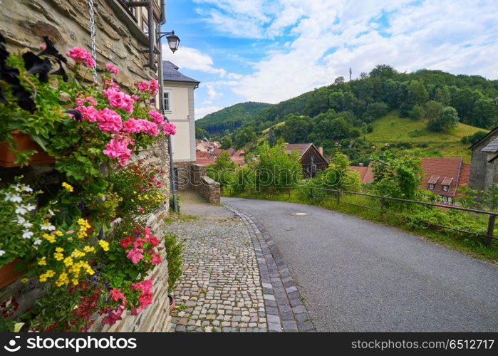 Stolberg flowers in Harz mountains of Germany. Stolberg flowers in Harz mountains Germany