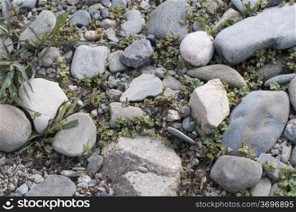 stone background with green grass