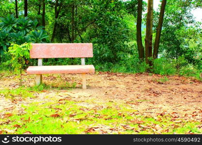 stone bench in the garden