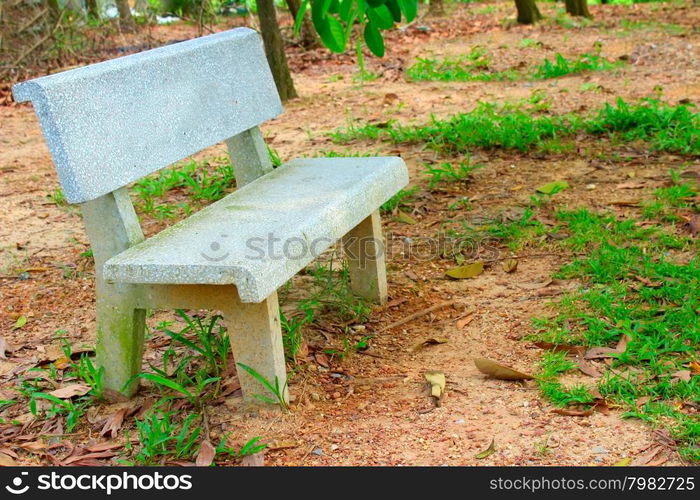 stone bench in the garden