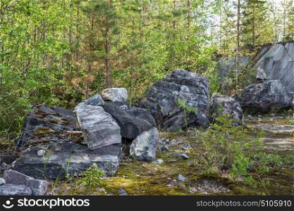 Stone blocks in the forest
