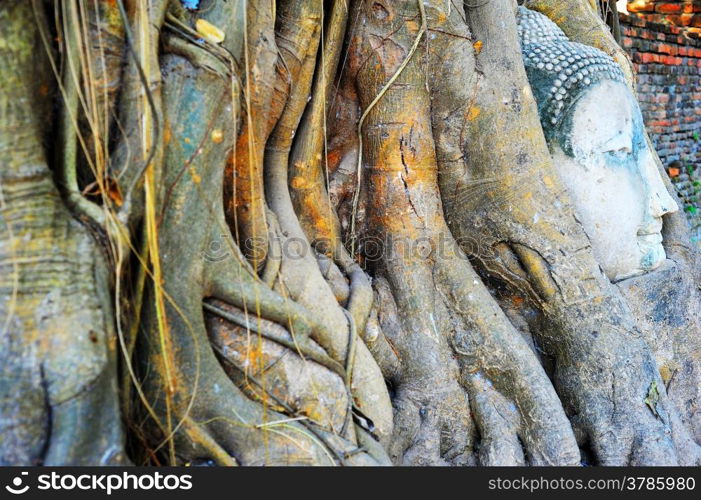 Stone buddha head traped in the tree roots at Wat Mahathat, Ayutthaya, Thailand