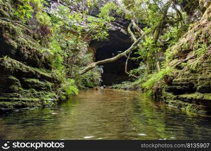 Stone cave interior with small river and lake surrounded by tropical vegetation of Brazilian rainforest. Rainforest cave interior with small river and lake