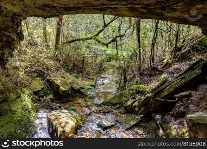 Stone cave interior with small river surrounded by tropical vegetation of Brazilian rainforest. Rainforest cave interior with small river and tropical forest