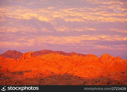 Stone desert