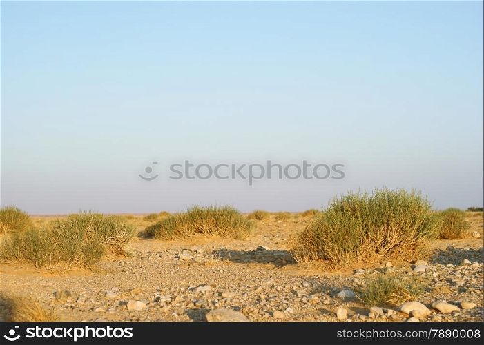 Stone desert and blue sky in midle east