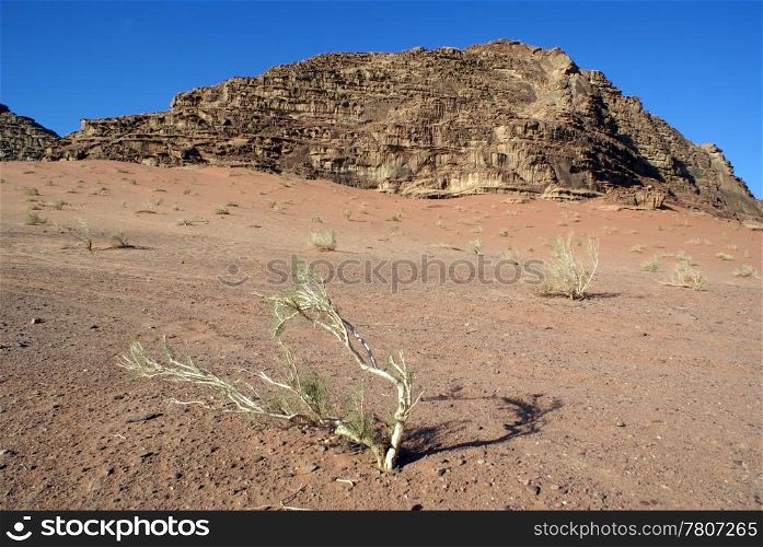 Stone desert and mount in Wadi Rum, Jordan