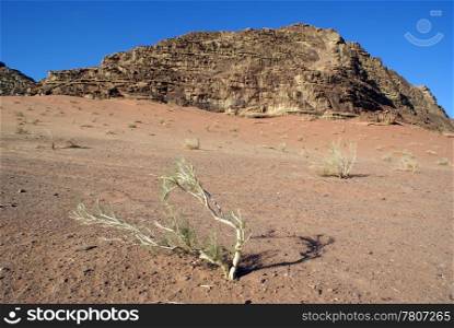 Stone desert and mount in Wadi Rum, Jordan