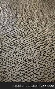 Stone inlayed street in Lisbon, Portugal.