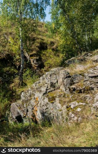 stone ledge on the wooded hills. landscape