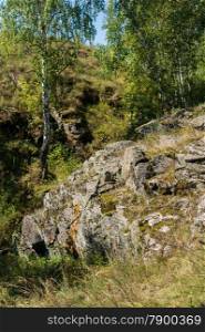 stone ledge on the wooded hills. landscape