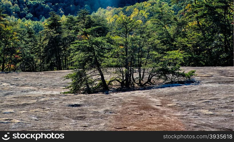 stone mountain north carolina scenery during autumn season