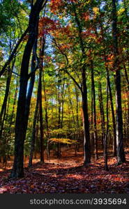 stone mountain north carolina scenery during autumn season