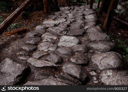 stone path in a forest in the mountains. Morske Oko, Europe. stone path in a forest in the mountains. Morske Oko, Poland, Europe