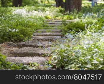 stone path in a Park overgrown with flowers. stone sunlit path in a Park overgrown with flowers and grass