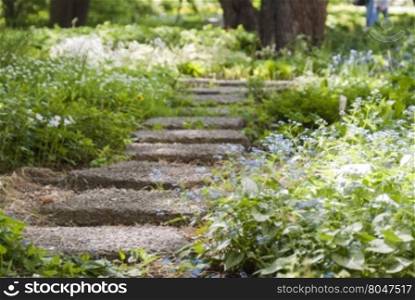 stone path in a Park overgrown with flowers. stone sunlit path in a Park overgrown with flowers and grass