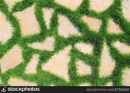 stone path in green grass garden texture elevated view