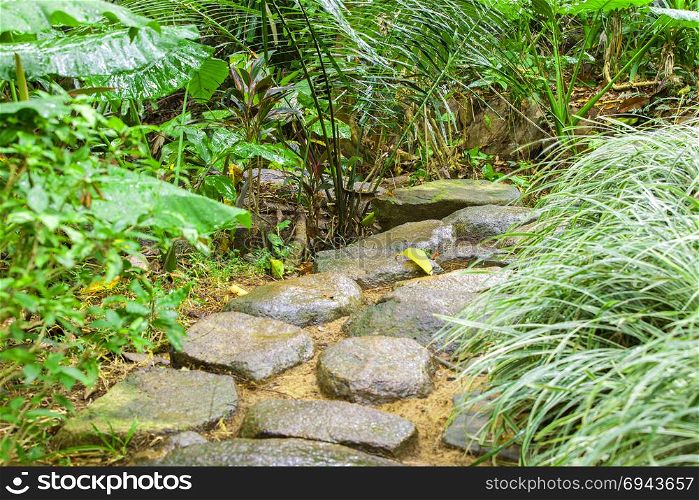 Stone path in tropical park