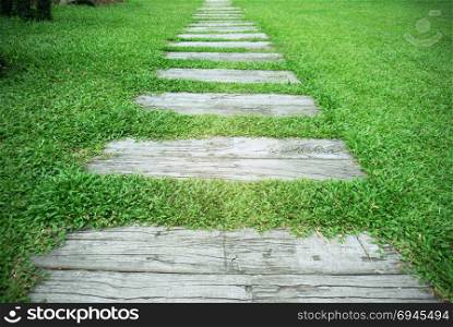 Stone Pathway in the park with green grass background