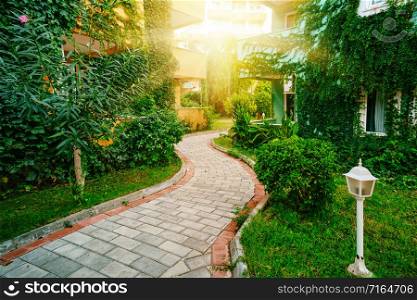 Stone-paved road among green bushes and grass trees. Urban tropical summer landscape. Travel and vacation concept. Stone-paved road among green bushes and grass trees