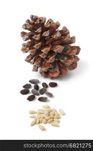 Stone pine cone, pinoli, and seeds on white background