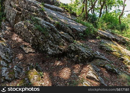 stone ridge in the forest