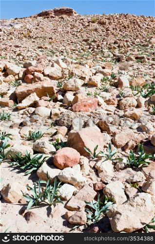 stone ruins in desert valley in Petra, Jordan