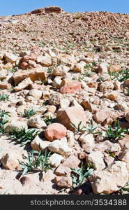 stone ruins in desert valley in Petra, Jordan