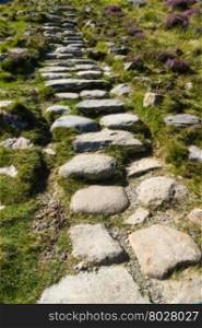 Stone slabs making stairs on a path surrounded by wild mountain grass, United Kingdom