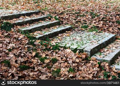 stone stair path through fall colored leaves