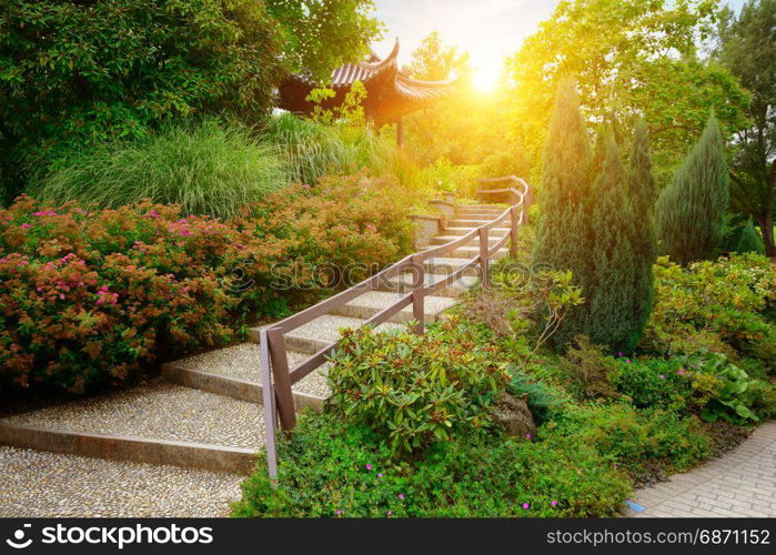 stone staircase in beautiful park at dawn