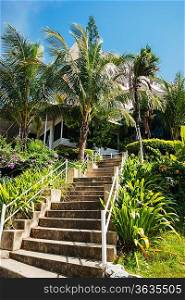 stone stairs in a tropical garden