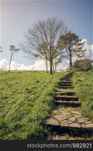 Stone stairs in natural landscape over sky with clouds on background . Stone stairs in grass with trees on background
