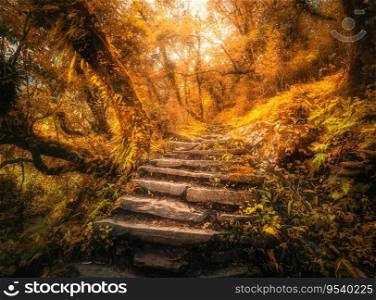 Stone steps in beautiful orange forest in fog at sunset in autumn. Colorful landscape with stone stairs, trees with red foliage, sunlight in fall in Nepal. Enchanted forest. Beautiful nature. Wood