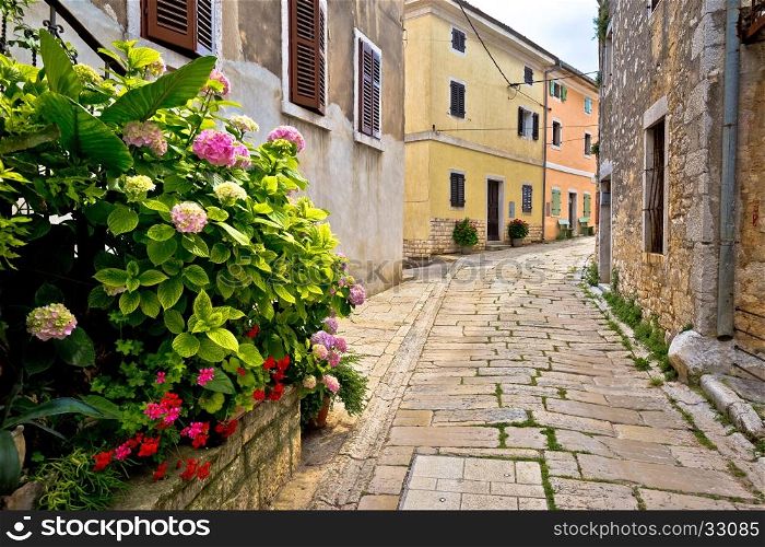 Stone street of Visnjan view, Istria, Croatia