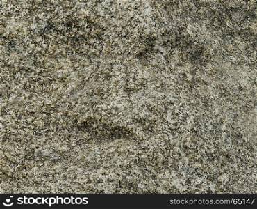 Stone surface closeup. Surface of natural stone with outlines of face
