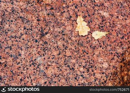 stone texture and yellow leaf, sea stone background. sea stone background, stone texture and yellow leaf