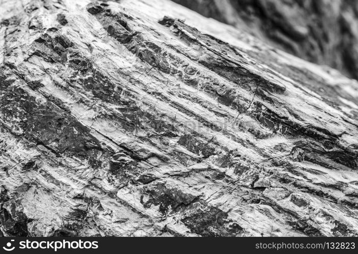 stone texture background in black and white