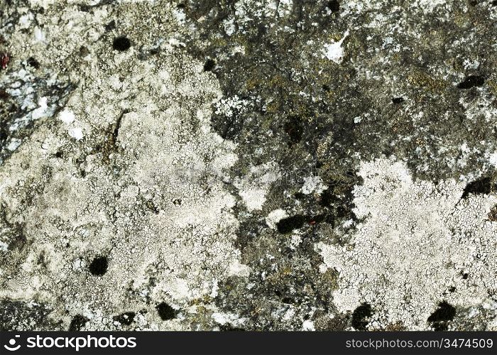 stone texture macro close up