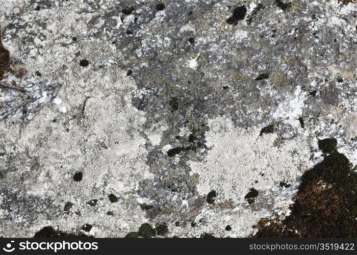 stone texture macro close up
