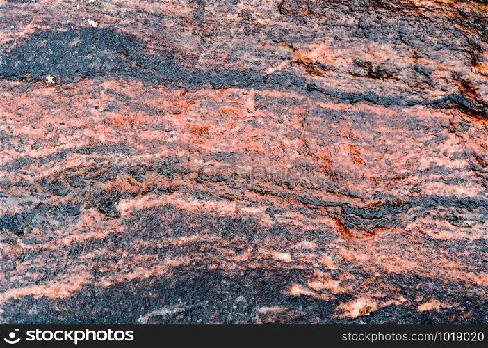 stone texture, the background of natural sea stone. the background of natural sea stone, stone texture