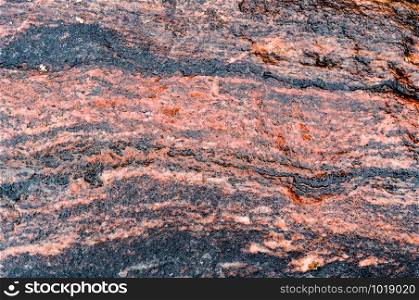 stone texture, the background of natural sea stone. the background of natural sea stone, stone texture