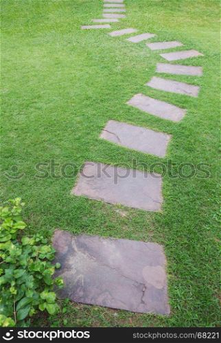 stone walk way between grass in the garden