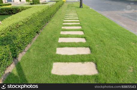stone walkway on green grass in the garden