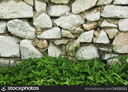 Stone wall and green grass