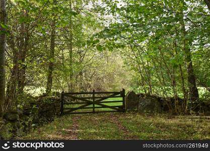 Stone wall fence with an old wooden gate in a deciduous forest