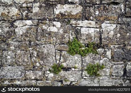 Stone wall fragment. King castle to Trim, Co. Meath, Ireland.